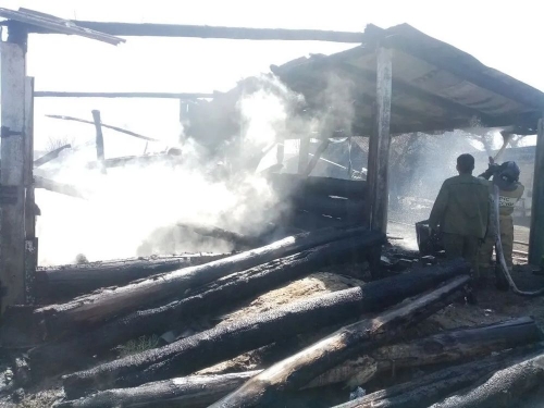 Не даст бурёнка молока… Неосторожное обращение с огнём привело к гибели скота в Кунашакском районе